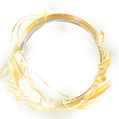 金羽神辉